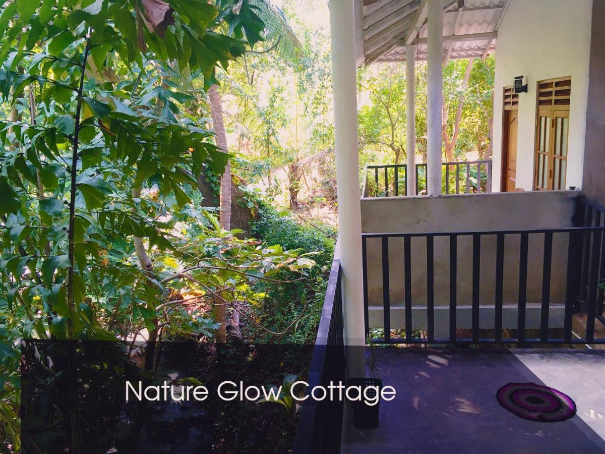 Nature Glow Cottage 达瓦拉维 外观 照片